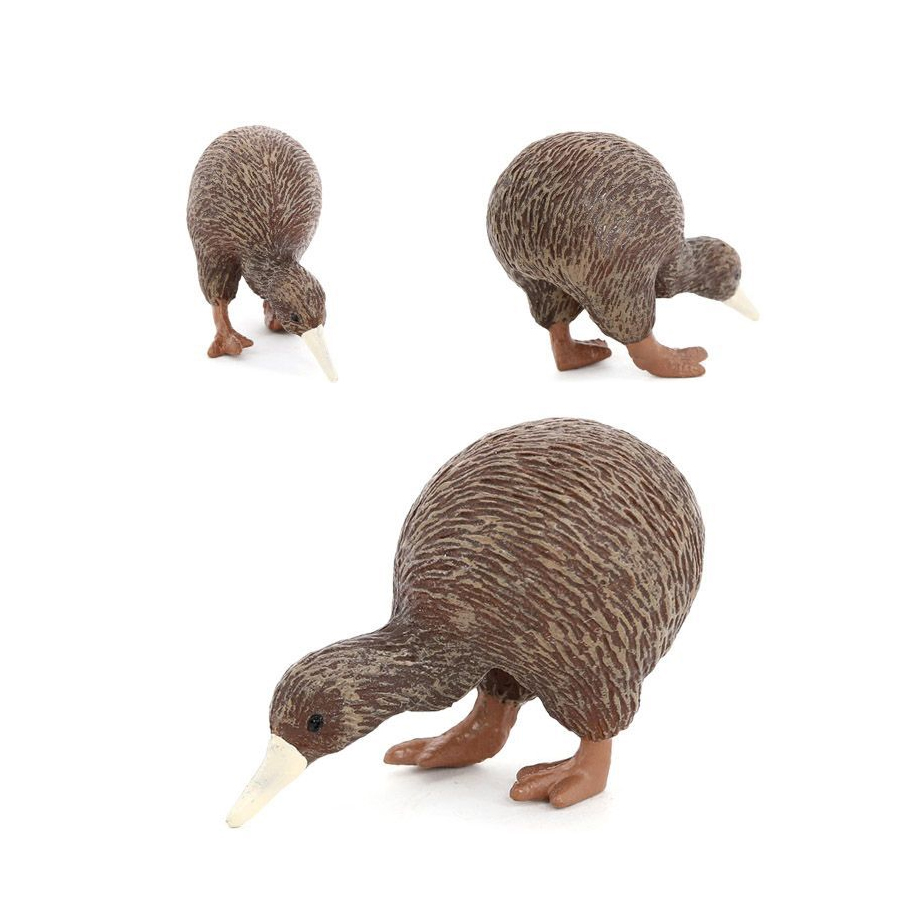 Modelos Realistas de Pássaros  - Kids Toys New Zealand avaliação e preço
