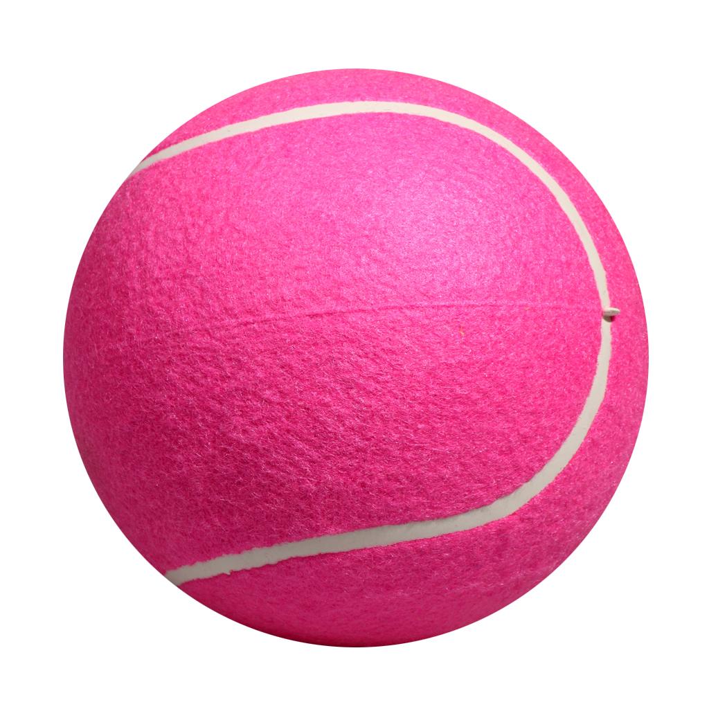 Brinquedo de Tênis para Cães,  - Kids Toys Exhibition avaliação e preço